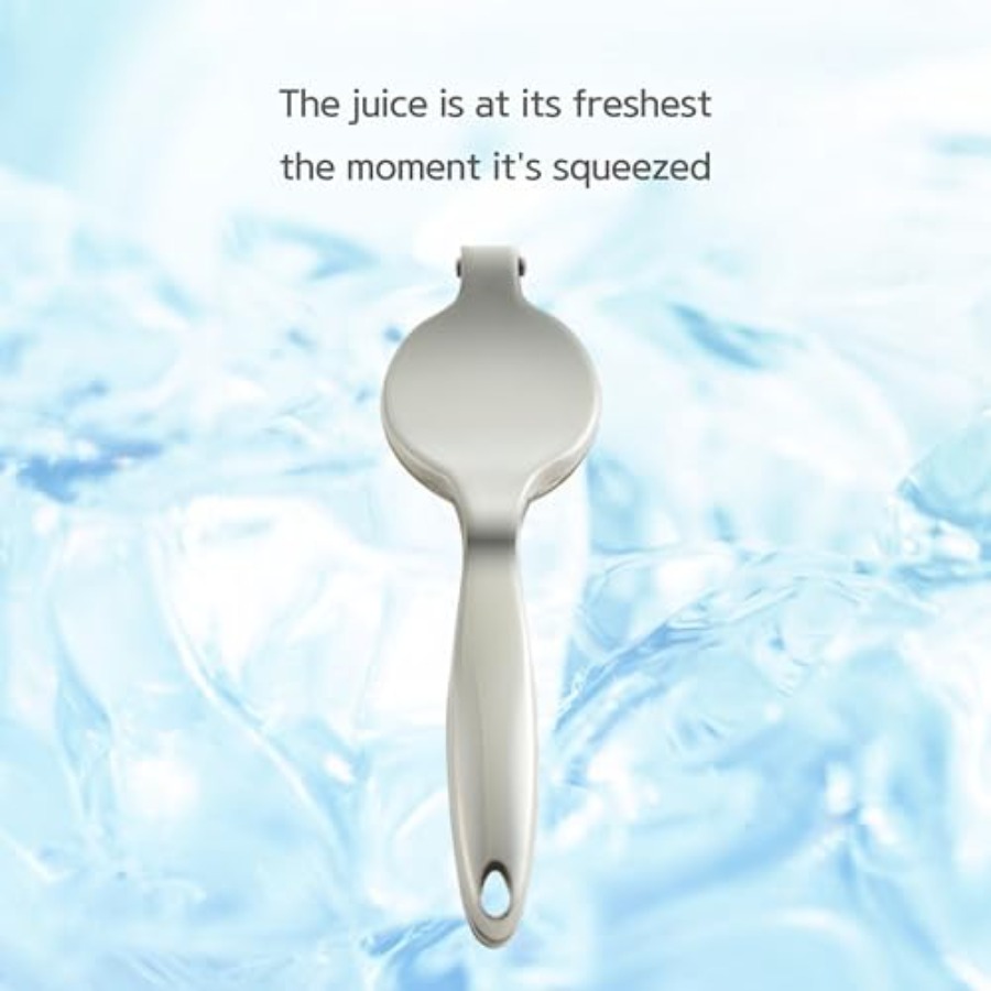 Lemon Squeezer 304 Stainless S - Citrus Juicer Bar 리뷰 및 가격