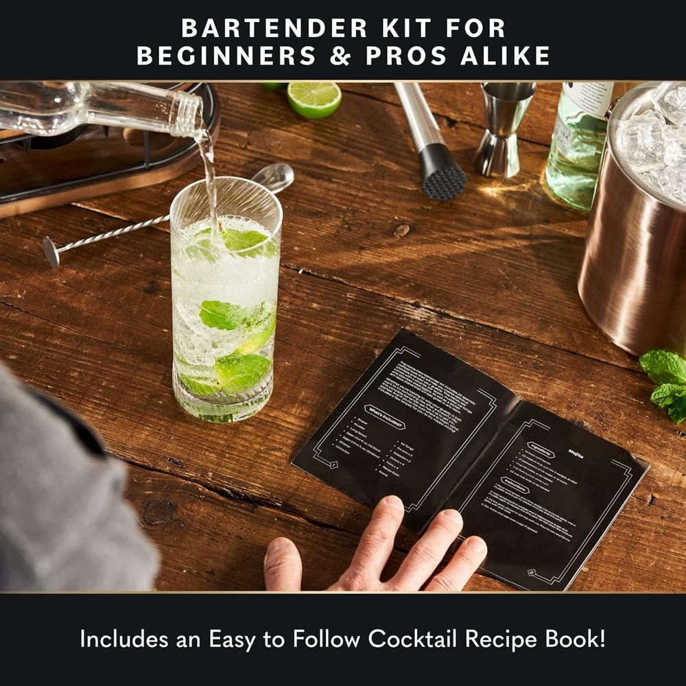 22-Piece Cocktail Shaker Set w - Cocktail Recipe Book 리뷰 및 가격